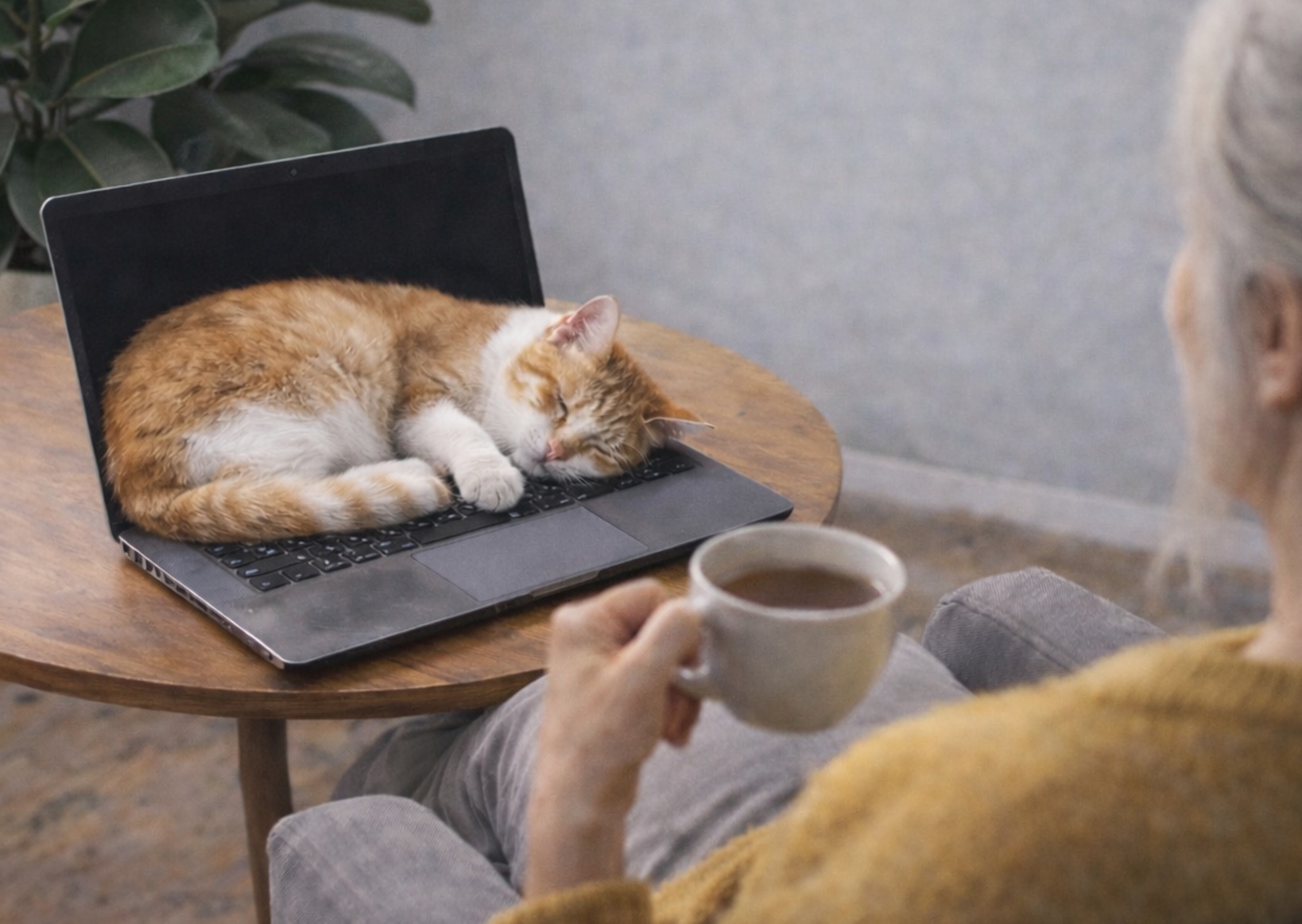 KI-generiertes Symbolbild: Eine Kursteilnehmer sitzt vor ihrem Notebook mit einer Kaffee-Tasse in der Hand. Auf der Tastatur des Notebooks liegt ihre Katze und lässt sie nicht weiter arbeiten.